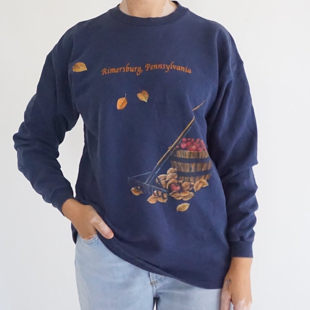 Vintage Hanes Kimmersburg Pennsylvania Apple Basket Harvest Graphic Sweatshirt M